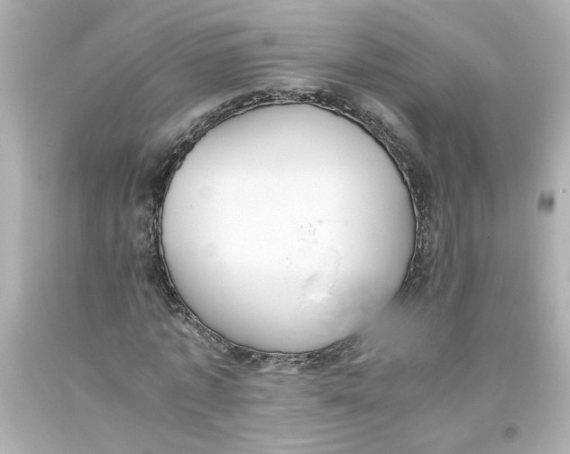 X0000093390773200711011310