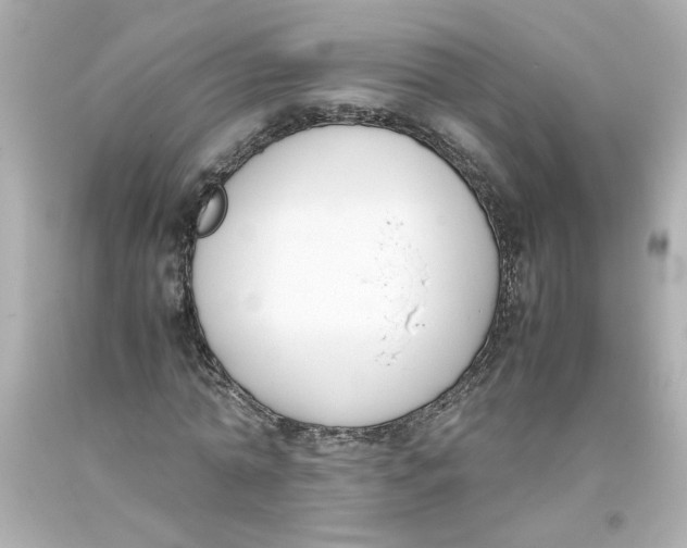 X0000093390774200711011310