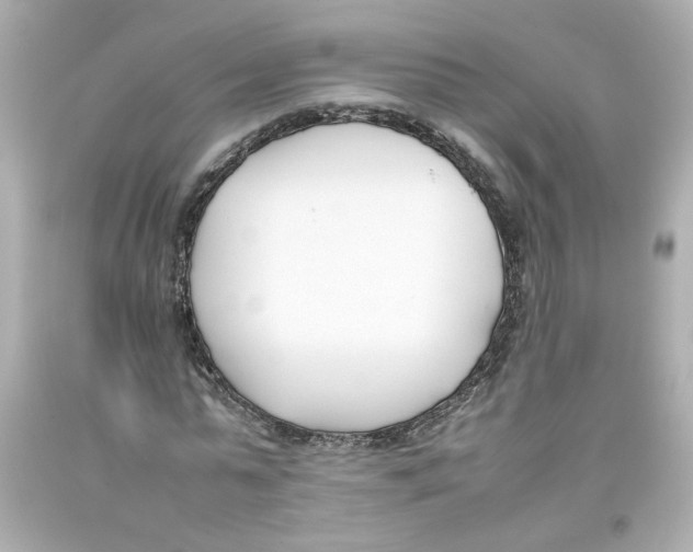 X0000093390775200711011310