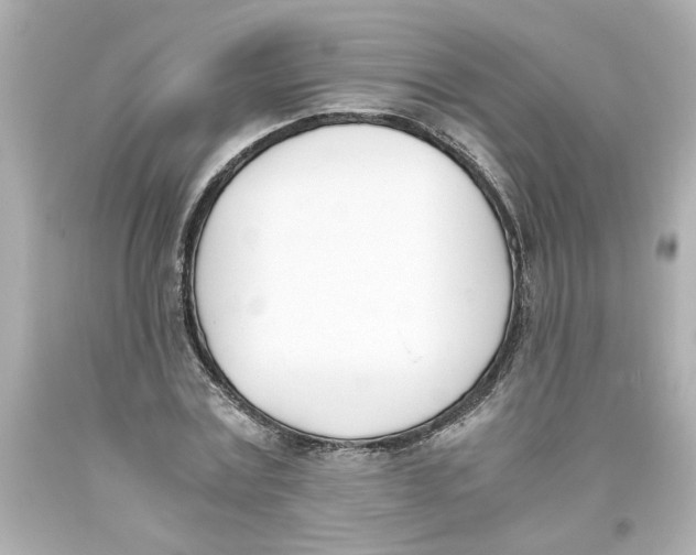 X0000093390779200711011310