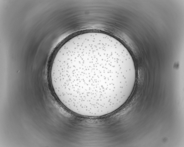 X0000093390780200711011310