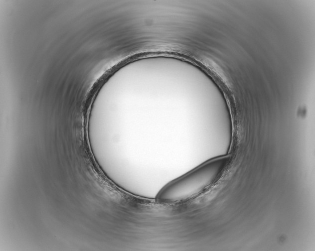 X0000093390781200711011310