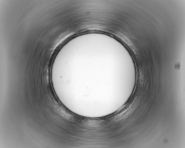 X0000093390782200711011310