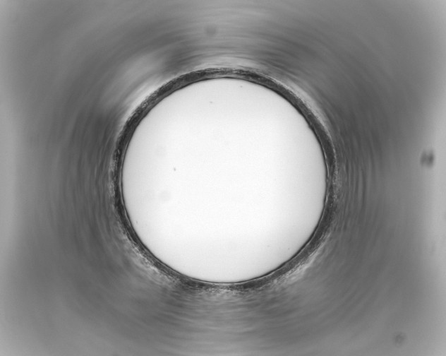 X0000093390783200711011310