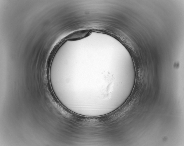 X0000093390784200711011310