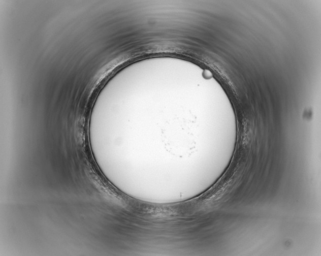 X0000093390786200711011310