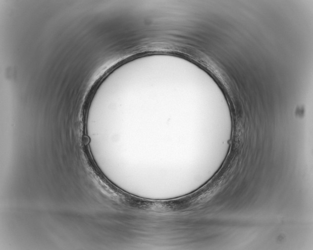 X0000093390787200711011310