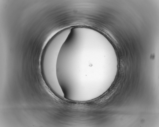 X0000093390788200711011310