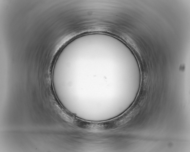 X0000093390789200711011310