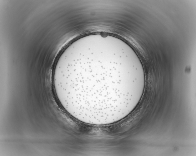 X0000093390790200711011310