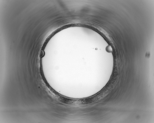 X0000093390791200711011310