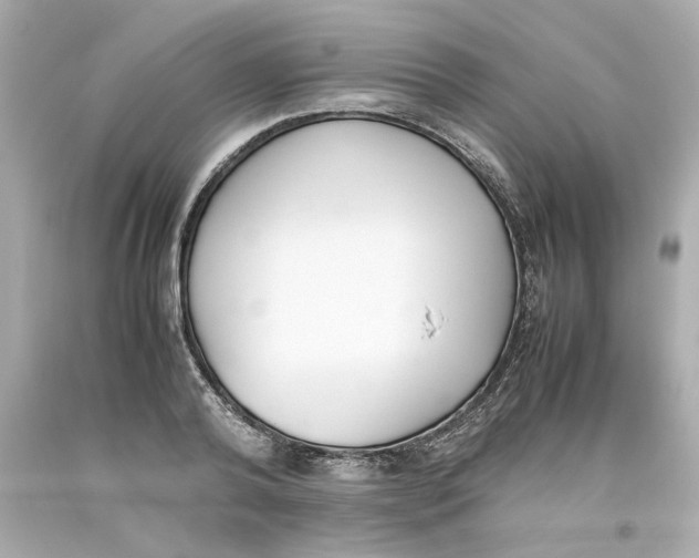 X0000093390792200711011310