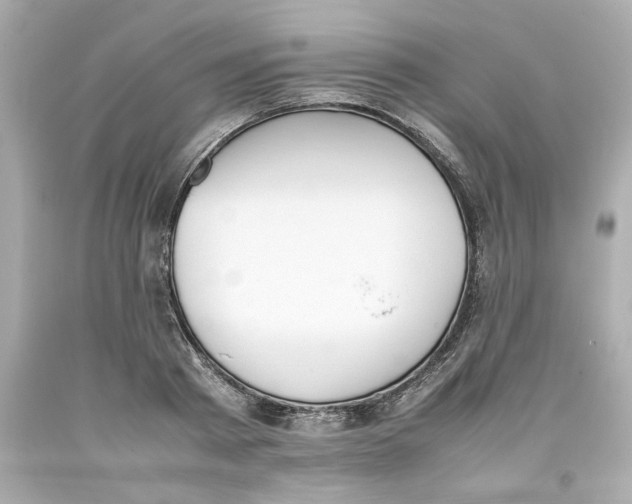 X0000093390793200711011310