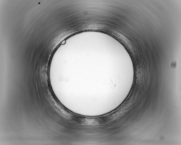 X0000093390794200711011310