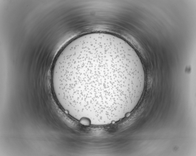 X0000093390798200711011310