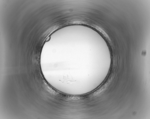 X0000093390801200711011310