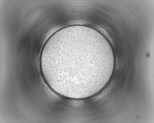 X0000093390802200711011310