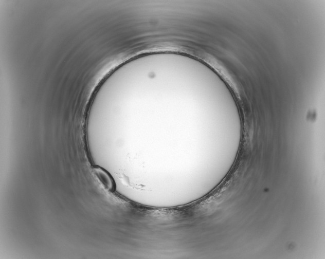 X0000093390805200711011310