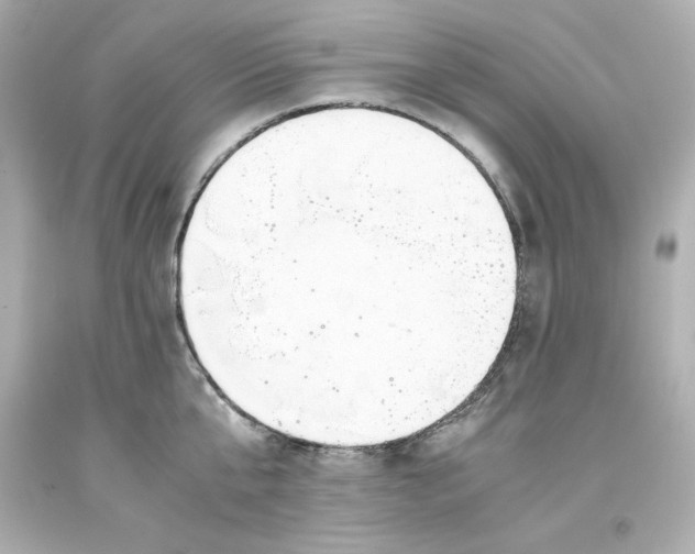 X0000093390807200711011310