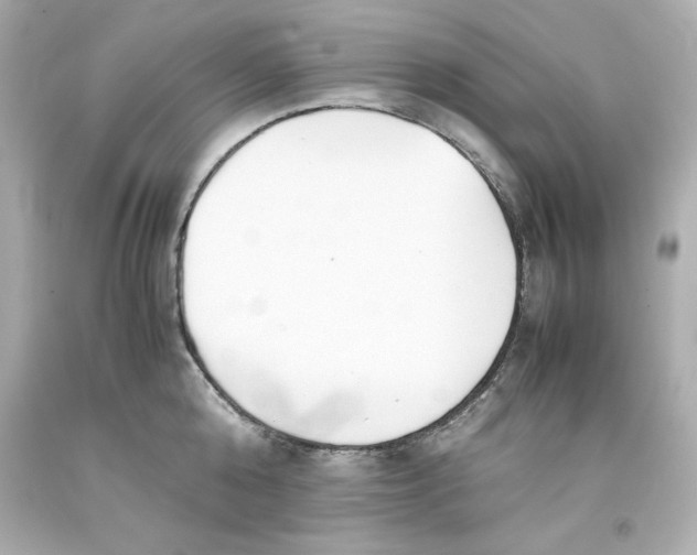 X0000093390808200711011310