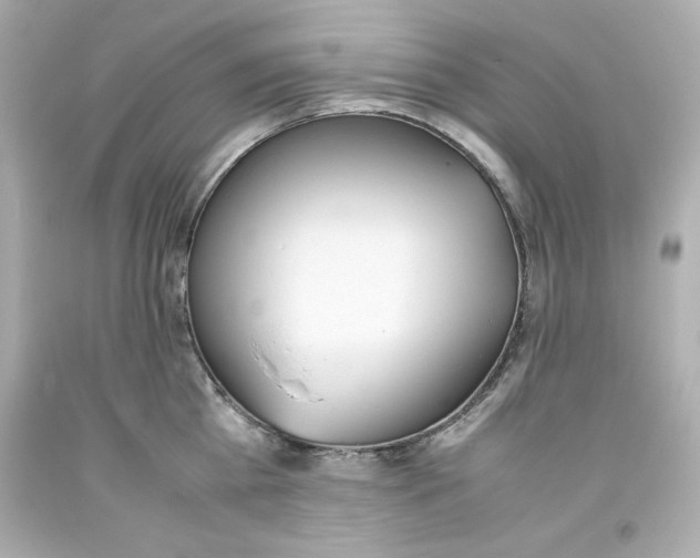 X0000093390809200711011310