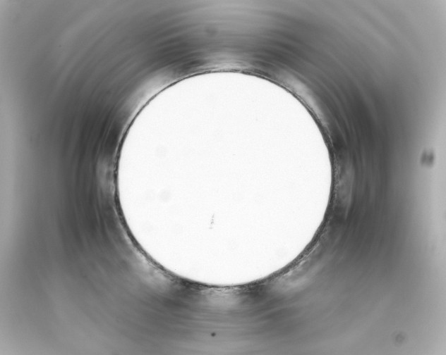 X0000093390810200711011310