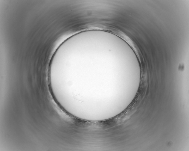 X0000093390811200711011310