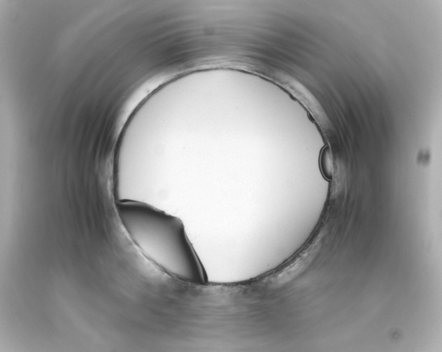 X0000093390812200711011310