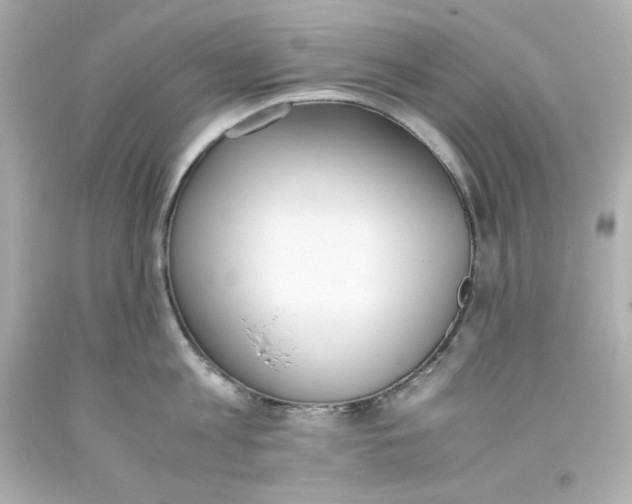 X0000093390813200711011310