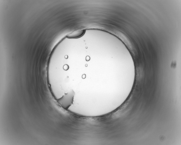 X0000093390814200711011310