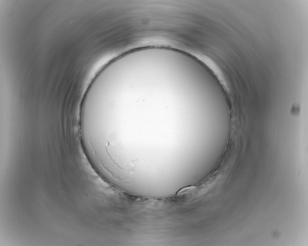 X0000093390815200711011310