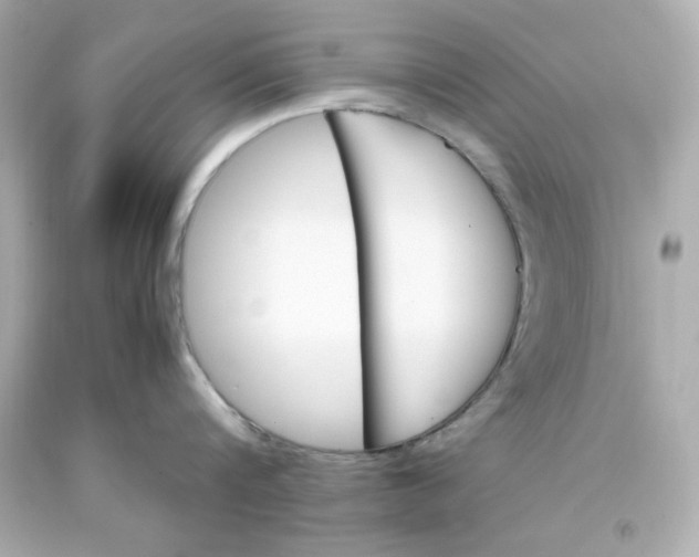 X0000093390816200711011310