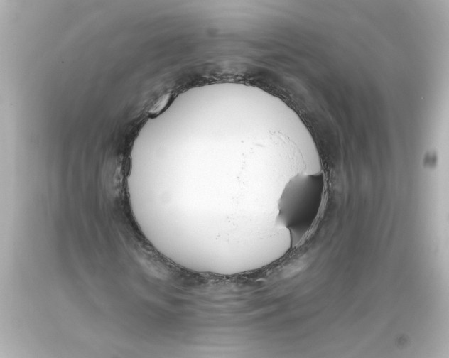 X0000093390818200711011309