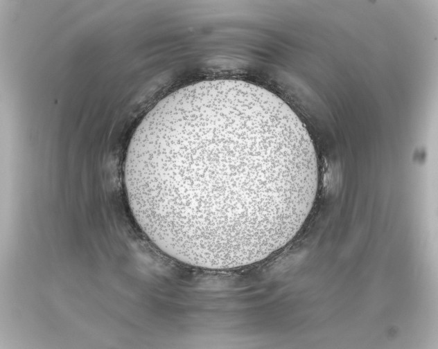 X0000093390819200711011309