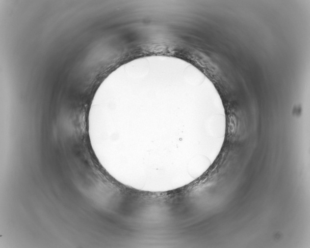 X0000093390820200711011309