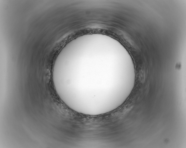 X0000093390821200711011309