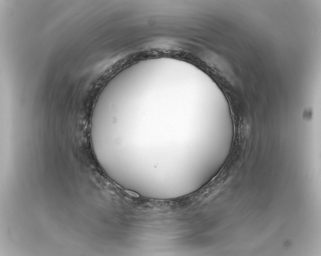 X0000093390822200711011309