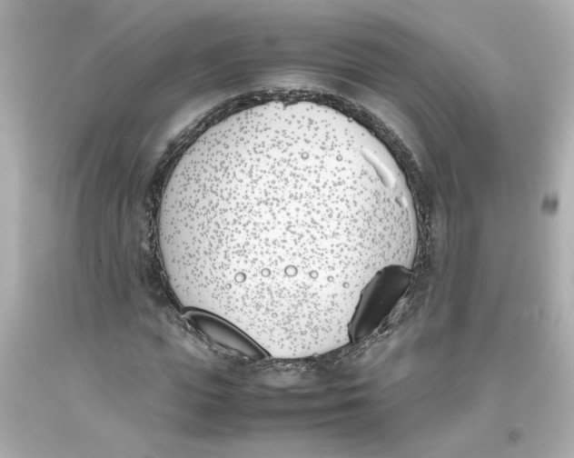 X0000093390823200711011309