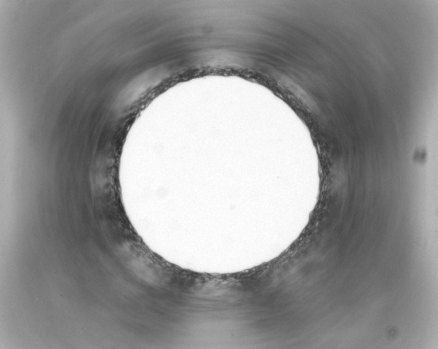 X0000093390824200711011309