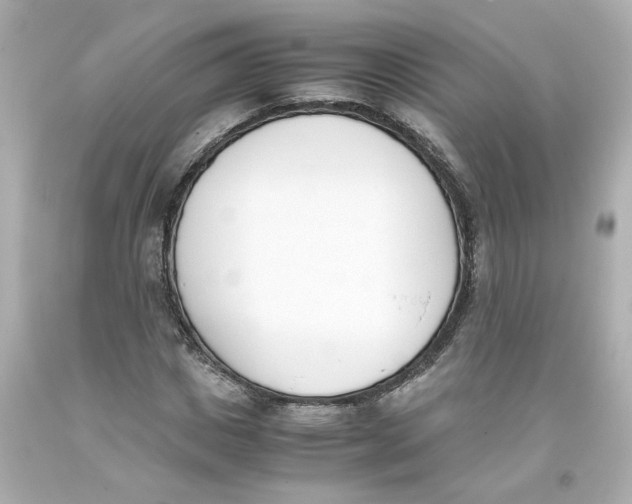 X0000093390825200711011309