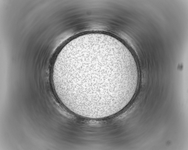 X0000093390827200711011309