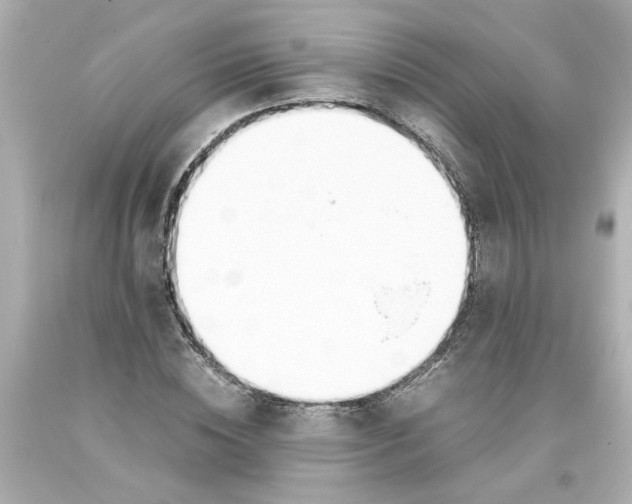 X0000093390828200711011309