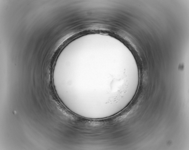 X0000093390829200711011309