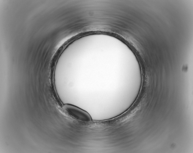 X0000093390830200711011309