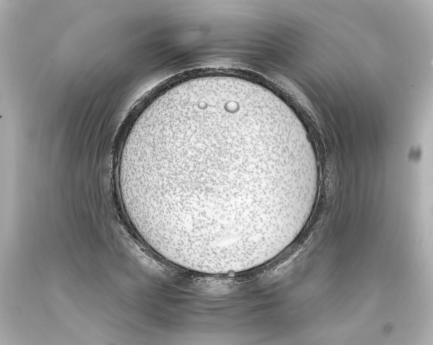 X0000093390831200711011309