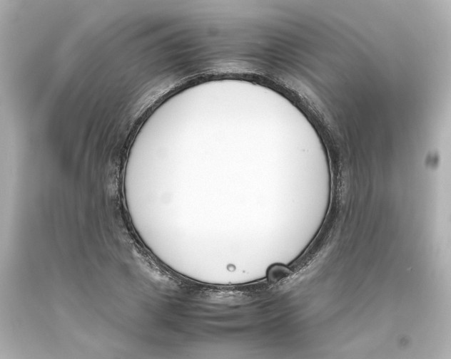 X0000093390833200711011309