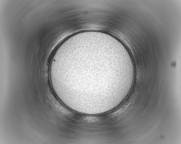 X0000093390835200711011309