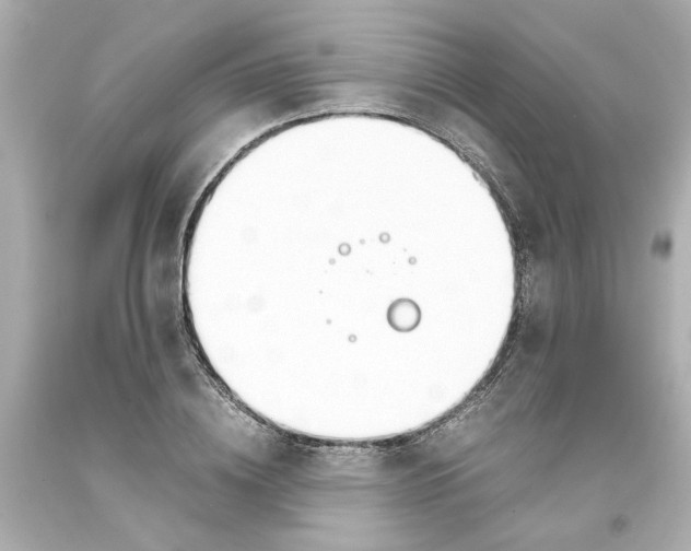 X0000093390836200711011309