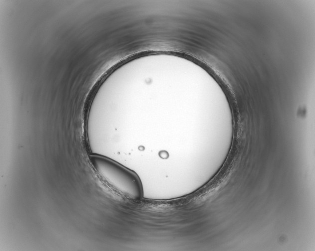 X0000093390837200711011309