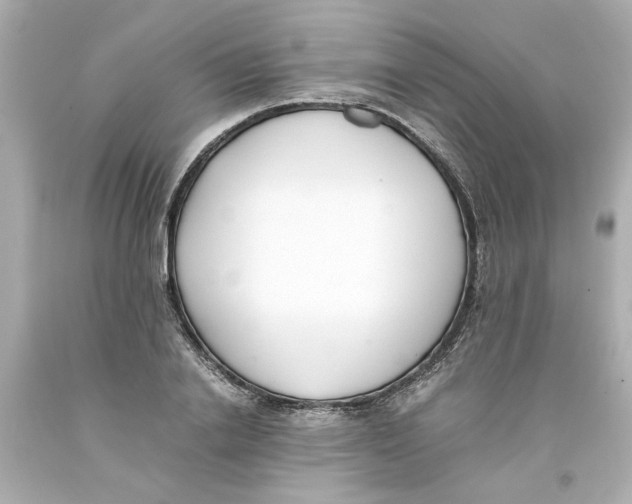 X0000093390838200711011309